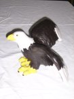 Adler